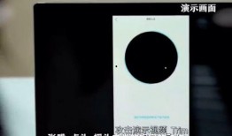 蚂蚁爆料视频,一窥科技巨头背后的真实世界